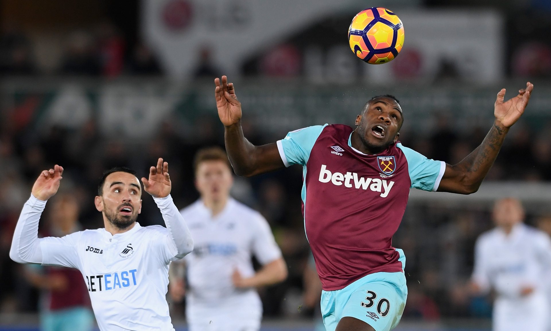 无论是专业 无论是专业